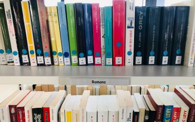 La Médiathèque du Rhin de Rosenau vous ouvre ses portes !