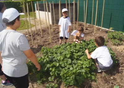 Jeunes enfants qui font des plantations lors de journées citoyennes à Rosenau