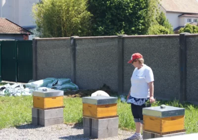 Femme devant des ruchers Jeunes enfants qui font des plantations lors de journées citoyennes à Rosenau